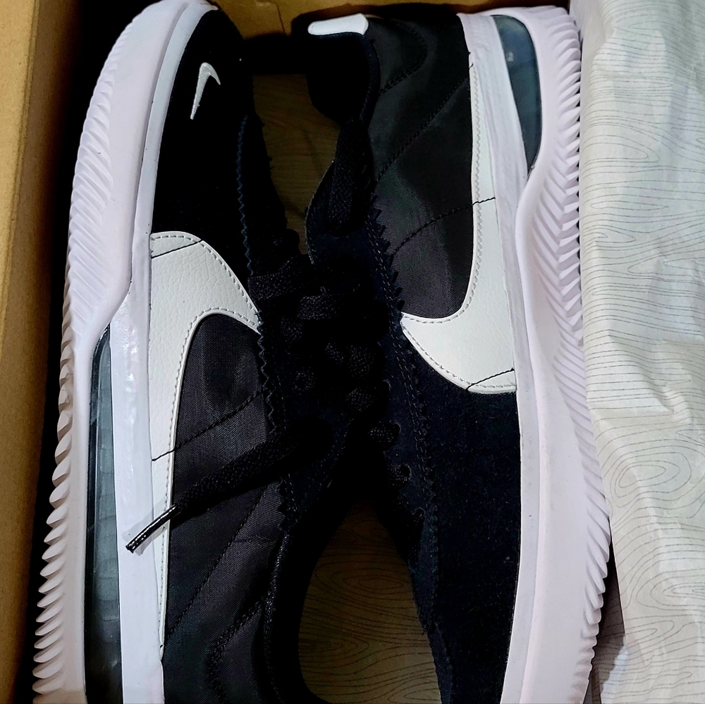 Nike BRSB Skate Shoes